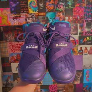 Nike Lebron Soldier 9 Hornets